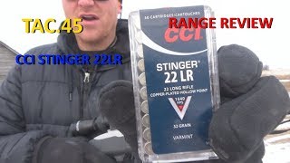 CCI STINGER 22LR AMMUNITION REVIEW [upl. by Anialad646]