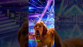 Girl in dog  America’s got talent agt talent americasgottalent [upl. by Octavian338]