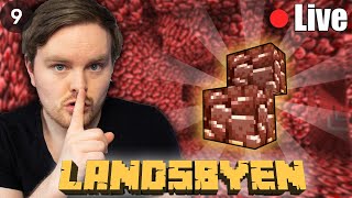 På Hemmelig Oppdrag i Nether 🤫  Landsbyen SMP 🔴Live [upl. by Hyrup294]