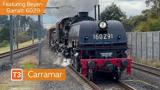 Transport for Sydney Vlog 477 Carramar Part 2  Featuring BeyerGarratt 6029 [upl. by Picco]