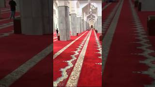 shortslabbaik allahumma labbaikhajj2024 youtubeshortsviral viralvideosshortvideo shortsvideo [upl. by Nelav]