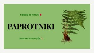 15 Paprotniki  budowa charakterystyka cykle rozwojowe 🌿 matura biologia rozszerzona [upl. by Janith]