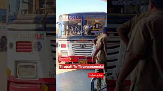 Tirupati To Tiruvannamalai Buses shorts bus buslover ytshorts [upl. by Anawat724]