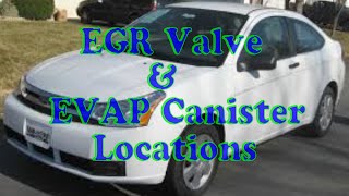 Ford Focus How to find EGR valve and EVAP canister [upl. by Nathanil]