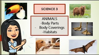 SCIENCE Q2Week3 Animals body coverings parts habitats Lesson1 [upl. by Karney]