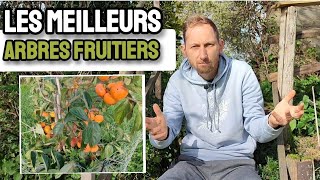 Où devons nous ACHETER nos ARBRES FRUITIERS  pepinieriste local varietesanciennes [upl. by Aruon]