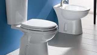 Perdite di ACQUA dallo SCARICO WC e sostituzione GALLEGGIANTEHow to fix FLUSHING TOILET problems [upl. by Baalman]