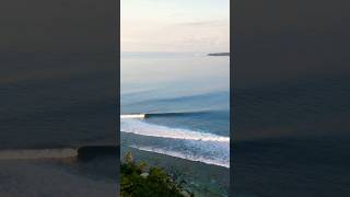 SURFING INDONESIA mentawais [upl. by Anitsirk]