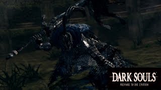 Dark Souls  Knight Artorias Cutscene  Ultra 4K HQ [upl. by Weide]