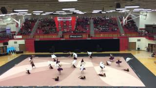 Homestead Winter Guard 2015 Fort Wayne IN  You Were Never Really There [upl. by Crespi]