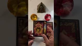 Insisto ou desisto  Tarot shorts tarot tarotdehoje tarothoje [upl. by Akienom489]