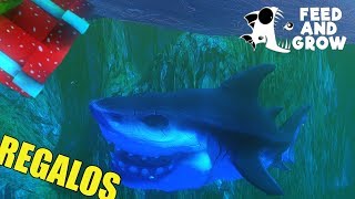 Feed and Grow Fish  REGALOS DE NAVIDAD  GAMEPLAY ESPAÑOL 13 [upl. by Petta]