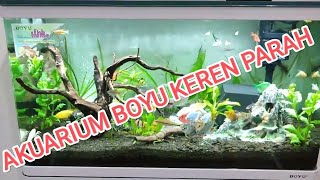 Review Aquarium Boyu Full Set [upl. by Maurey]