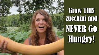 A Year of Zucchini Rampicante [upl. by Butler]