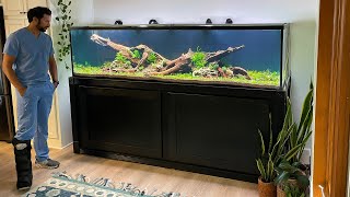 XXL NATURE AQUARIUM BUILD  FULL STEP BY STEP [upl. by Nnaaihtnyc]