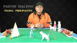 Prueba de COMPORTAMIENTO Pastor Malinois [upl. by Juster180]