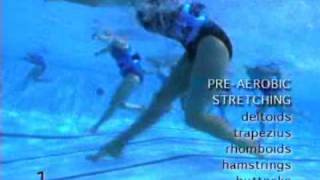 WaterGym FREE WATER AEROBICS EXERCISES LIVE VIDEOS2 [upl. by Inanuah]