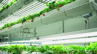 Aerofarms AgX is the UAE and the Middle Easts newest advanced indoor vertical farm f [upl. by Lillith]