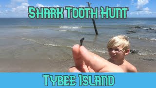 Shark Tooth Hunt  Tybee Island [upl. by Myrtle]