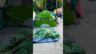 Los Angeles Homelessness Crisis🌴🌴shorts losangeles homeless [upl. by Alan]