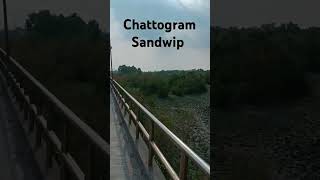 Chattogram Sandwip cat funny [upl. by Vittorio]