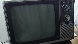 Retro TOSHIBA 14TU7 MULTI VISION TV 《1971年製》2つのDIN入力付き [upl. by Bobbi686]