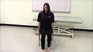 Ankle Eversion Strengthening  quotWindshield Wipersquot [upl. by Connett]