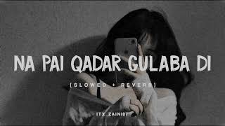 NA PAI QADAR GULABA DI song 🖤 Slowed amp reverb [upl. by Farika]