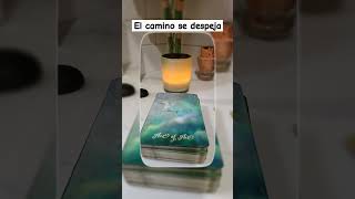 Luz Verde para Ti 💚 tarot mensajetarot shortsvideo ytshorts [upl. by Ohce183]