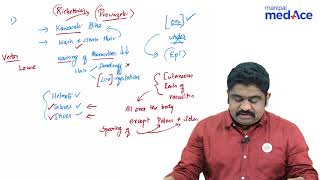 Microbiology  Rickettsia story of Rickettsia Prowazeki [upl. by Luedtke]