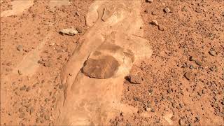 The Moenkopi Dinosaur Tracks near Tuba City AZ United States [upl. by Sunshine]