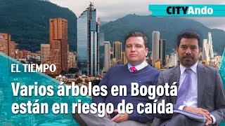 CITYAndo Varios árboles en Bogotá están en riesgo de caída  El Tiempo [upl. by Anoyek]