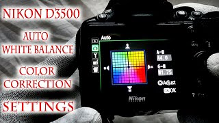 Nikon D3500 Auto White Balance Color Correction Setting [upl. by Paz]