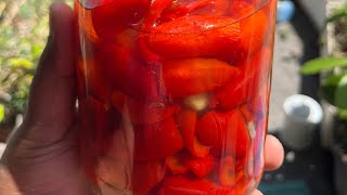 Easy Peppadew Recipe [upl. by Roarke]