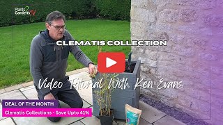 How to plant a Clematis [upl. by Janna]