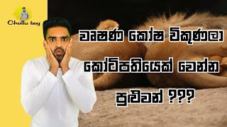 වෘෂණ කෝෂ විකුණලා කෝටිපතියෝ වෙන්න  how much can you earn with your balls  testicle transplant [upl. by Sillad]