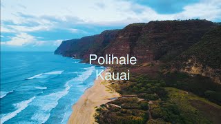 Polihale Cliffside Kauai  4K Drone Views  Hawaii  Mavic Air 2 [upl. by Kile208]