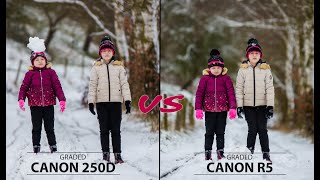 Canon Eos 250D  rebel Sl3 VS Canon Eos R5 for Photography  High end Camera vs Entry level Camera [upl. by Jori691]