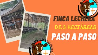 MODELO FINCA LECHERA DE 3 HECTAREAS PASO A PASO [upl. by Kinney]