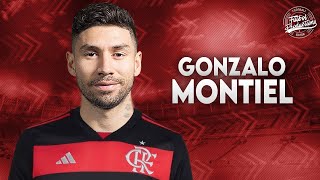 Por isso o Flamengo está INTERESSADO no Gonzalo Montiel [upl. by Aihtnic]