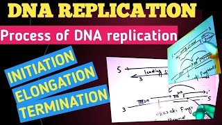 DNA REPLICATIONSynthesis of DNAProcess of DNA replicationcell biology [upl. by Leivad]