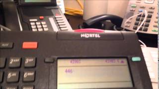 Nortel M3903 Digital Telephone [upl. by Blinnie]