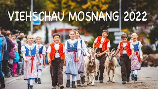 Viehschau Mosnang 2022 [upl. by Yddub]