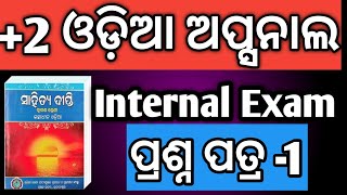 Internal exam Odia Optional question paper 1  2 chse board exam 2025  2 chse board 2025 [upl. by Caro]