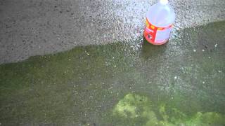 Pressure washing a concrete patio [upl. by Sibelle]