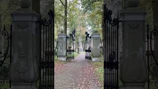 Mysterious Gates Discovered in the Middle of the Forest [upl. by Ludovika]