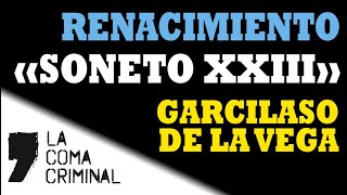 Soneto XXIII  Garcilaso de la Vega Comentario de texto resuelto Lengua Castellana y Literatura [upl. by Maude]