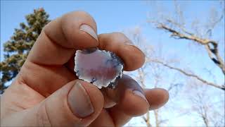 Michigan Deer Datolite and Crystals with Big Tim [upl. by Matta]