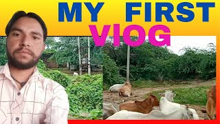 My First Vlog  First Vlog Viral Kaise kare  Please Support Me How To Viral First Vlog  🙏🙏🙏🙏 [upl. by Yesnikcm]