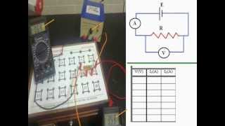 ohms Law [upl. by Negiam]